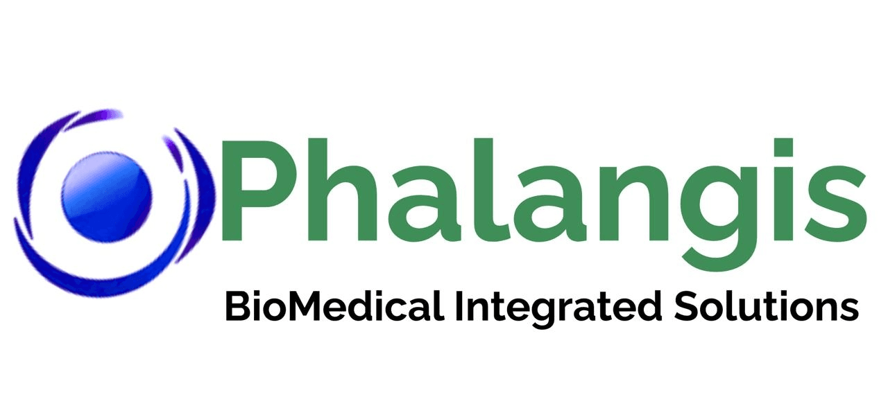 Phalangis